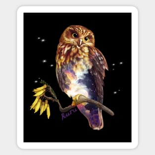 Ruru / Morepork - native bird of Aotearoa (New Zealand) Sticker